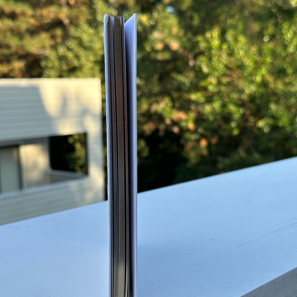 Dior notebook - Picture 5 of 5